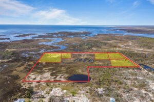 Property photo for land for sale in Dixie County Florida