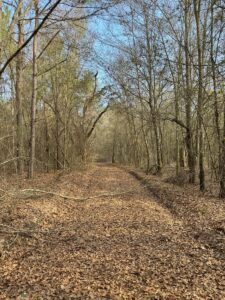 Property photo for land for sale in Mitchell County Georgia