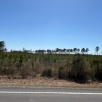 Property photo for land for sale in  County Arkansas