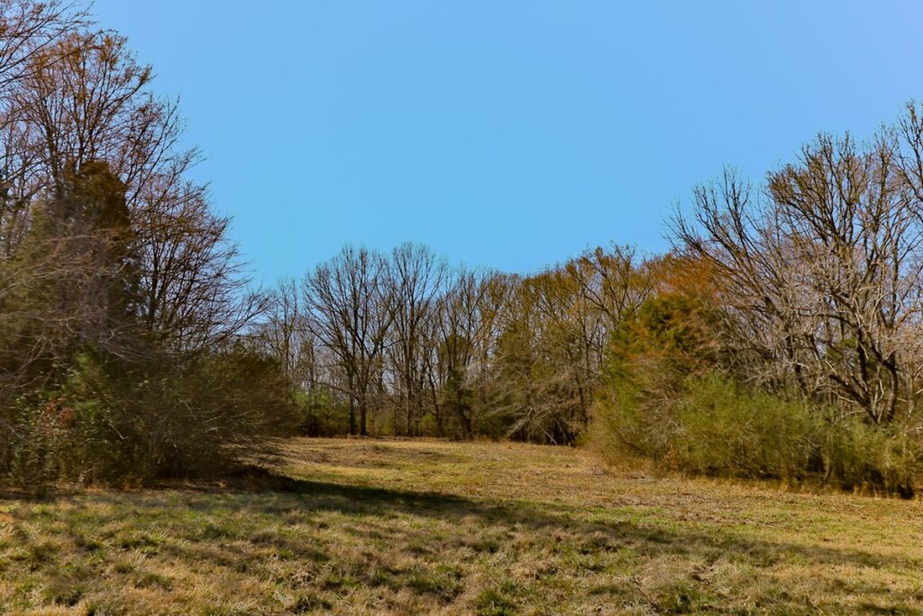 Property photo for land for sale in Gibson County Tennessee