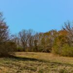 Property photo for land for sale in Gibson County Tennessee