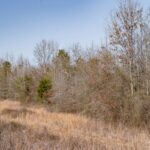 Property photo for land for sale in  County Louisiana