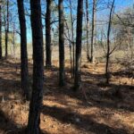 Property photo for land for sale in Sequatchie County Tennessee