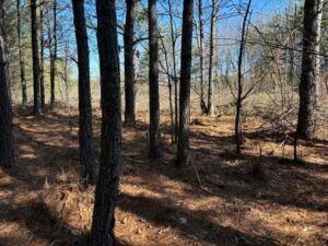 Property photo for land for sale in Sequatchie County Tennessee