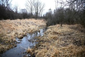 Property photo for land for sale in Jackson County Michigan