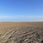 Property photo for land for sale in San Patricio County Texas