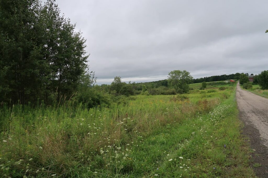 Property photo for land for sale in Cortland County New York