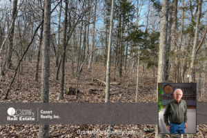 Property photo for land for sale in Oregon County Missouri