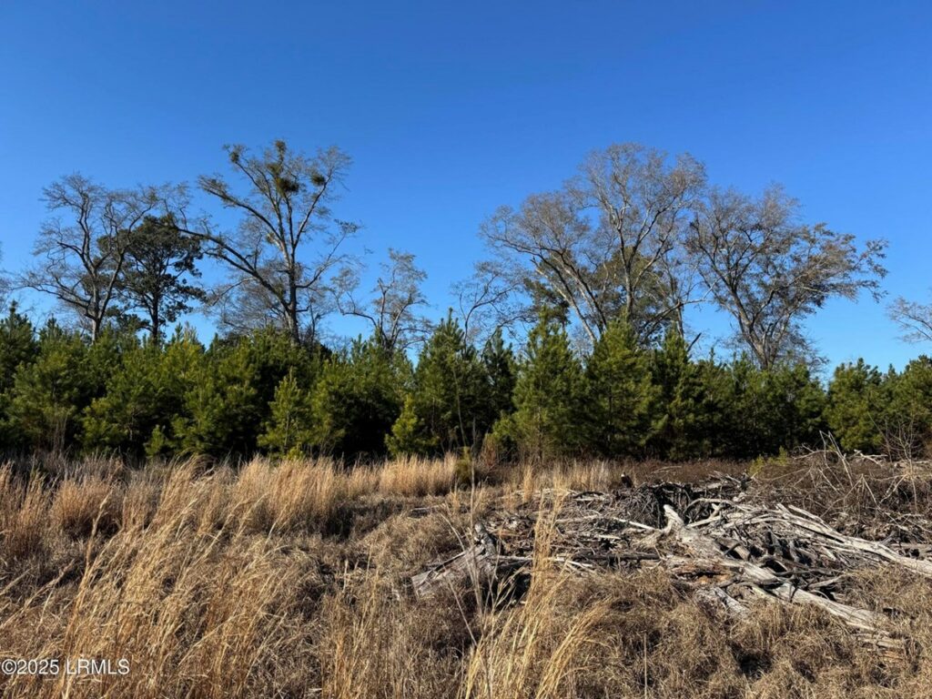 Property photo for land for sale in Allendale County South Carolina