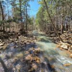 Property photo for land for sale in Scott County Arkansas