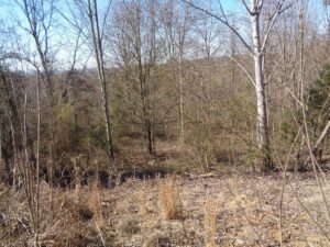 Property photo for land for sale in Grainger County Tennessee