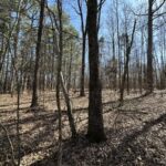 Property photo for land for sale in Independence County Arkansas