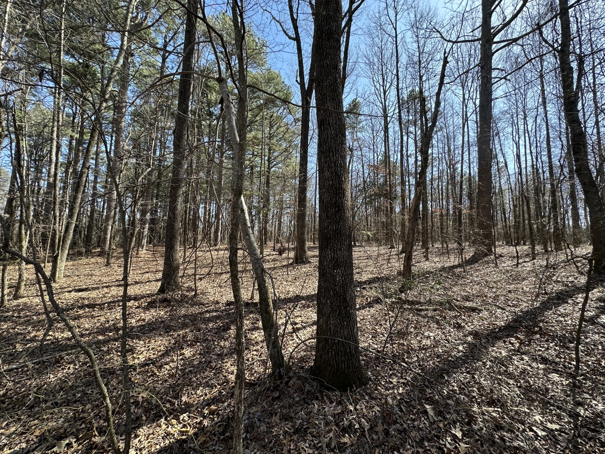 Property photo for land for sale in Independence County Arkansas