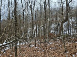 Property photo for land for sale in Tazewell County Virginia