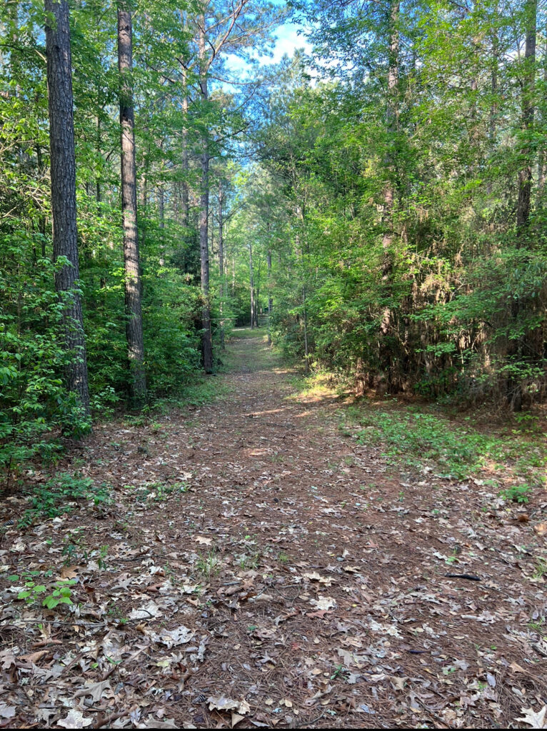 Property photo for land for sale in Jackson County Louisiana