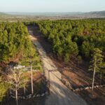 Property photo for land for sale in Pushmataha County Oklahoma