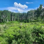 Property photo for land for sale in Mesa County Colorado