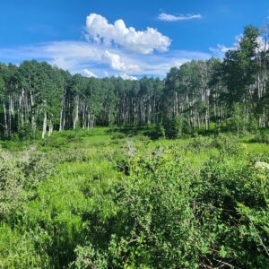 Property photo for land for sale in Mesa County Colorado