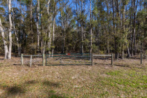 Property photo for land for sale in Levy County Florida