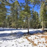 Property photo for land for sale in Teller County Colorado