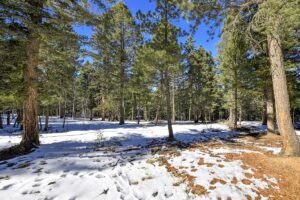 Property photo for land for sale in Teller County Colorado