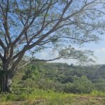 Property photo for land for sale in  County Panama