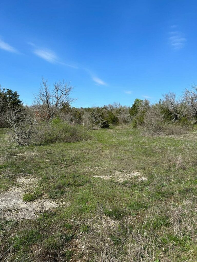 Property photo for land for sale in McCurtain County Oklahoma