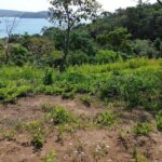 Property photo for land for sale in  County Panama