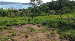 Property photo for land for sale in  County Panama