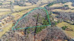 Property photo for land for sale in Hall County Georgia