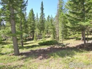 Property photo for land for sale in Larimer County Colorado