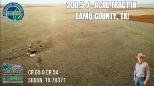 Property photo for land for sale in Lamb County Texas