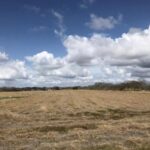 Property photo for land for sale in San Patricio County Texas