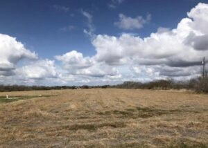 Property photo for land for sale in San Patricio County Texas