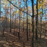 Property photo for land for sale in Le Flore County Oklahoma