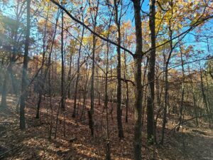 Property photo for land for sale in Le Flore County Oklahoma