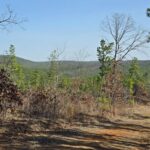 Property photo for land for sale in Le Flore County Oklahoma