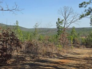 Property photo for land for sale in Le Flore County Oklahoma