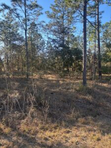 Property photo for land for sale in Marion County Florida