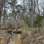 Property photo for land for sale in Cherokee County Texas