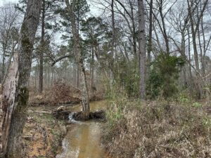 Property photo for land for sale in Cherokee County Texas