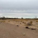 Property photo for land for sale in Luna County New Mexico