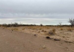 Property photo for land for sale in Luna County New Mexico