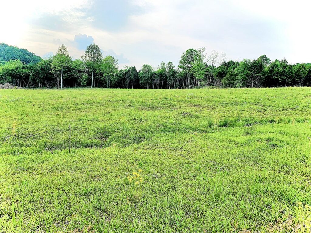 Property photo for land for sale in Metcalfe County Kentucky