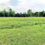 Property photo for land for sale in Metcalfe County Kentucky