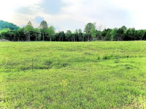 Property photo for land for sale in Metcalfe County Kentucky