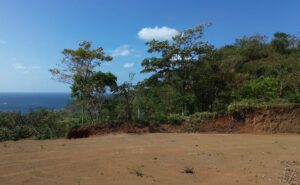 Property photo for land for sale in  County Panama