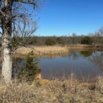 Property photo for land for sale in Brown County Texas