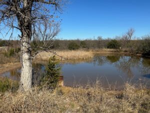 Property photo for land for sale in Brown County Texas