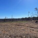 Property photo for land for sale in Claiborne County Mississippi